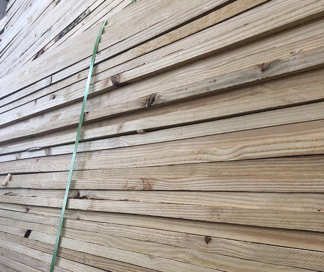 罗山巴西松